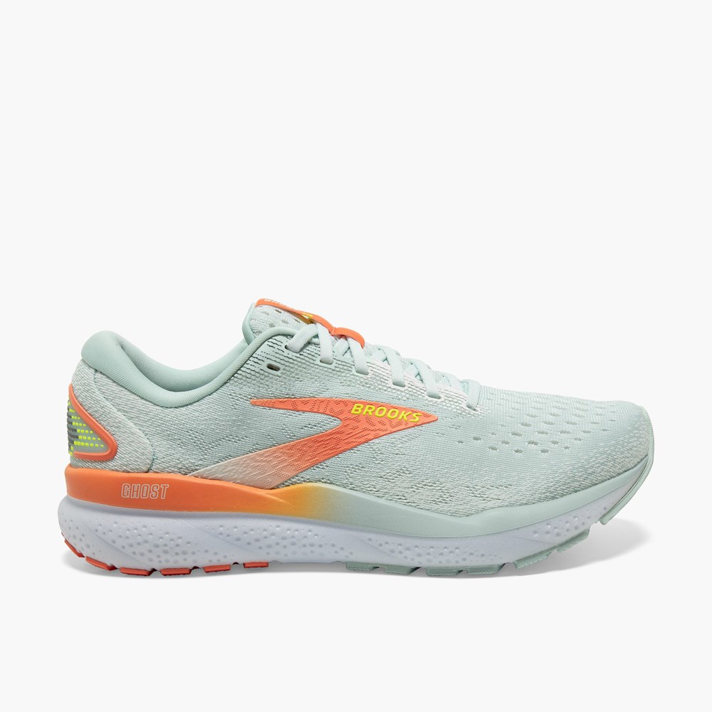 Chaussures Running Route Brooks Ghost 16 Grise Femme | GJZ-3627696